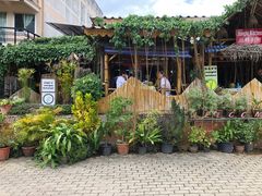 -Jungle Kitchen