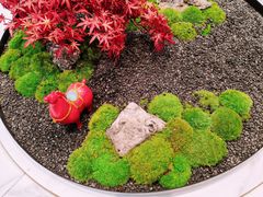-双合园·海鲜水饺青岛菜(万佳广场店)