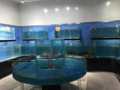 水产区-眉州东坡(通州店)