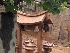 -辛玛王国游乐园