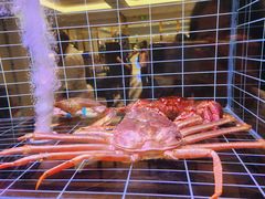 -頂好酒家·经典粤菜(海信广场店)