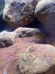 -酷嗒动物文化乐园(cutezoo西溪乐天城店)