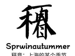 -七宝老街臭豆腐