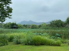 -茗醉园茶楼