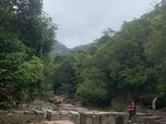 -广州白江湖森林公园