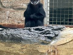 -黔灵山公园-南门售票处