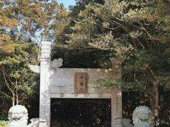 -普陀山风景区-佛顶山