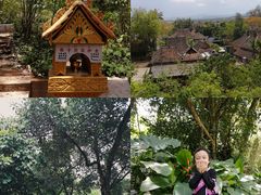 -纳兰傣雀傣味餐厅