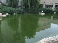 iphone_upload_pic-曲江惠宾苑宾馆(大雁塔大唐不夜城店)