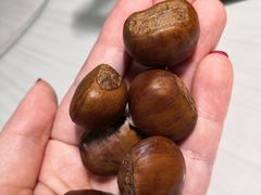 -金栗王(清扬路店)