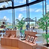 珠海!0元看夏花烂漫水墨画艺术展咖啡馆