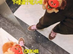 -新江湾城公园