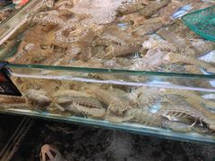 -四海蒸鲜蒸汽海鲜自助(北戴河店)