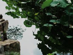 -拙政园