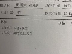 -北京观赏动物医院·24小时大型综合·猫专科·异宠专科