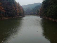 -青龙山国家森林公园