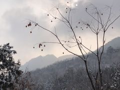 -阳台山自然风景区