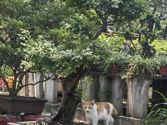 -西园戒幢律寺