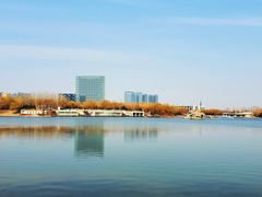 -大兴滨河森林公园