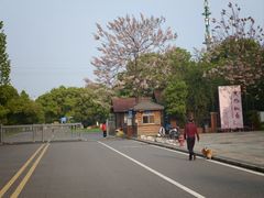 -艾溪湖湿地公园