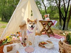 -Smile House咖啡馆(群芳小区店)