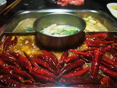 渝利鸳鸯锅-渝利重庆火锅