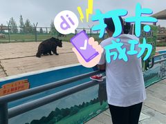 -鄂尔多斯野生动物园