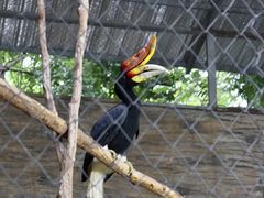 -清迈夜间动物园