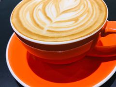 -藏猫猫咖啡主题馆(中央大道店)