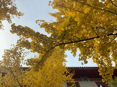 -中国中医科学院西苑医院(本部)
