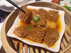 -点都德·毕德寮