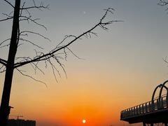 -大兴滨河森林公园