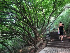 -紫金山天文台