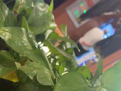 -渔乐之昕·铁板烧自助餐(虹悦城店)