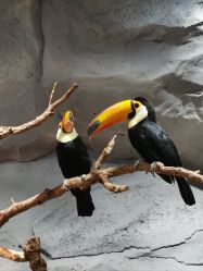 -Zoolung Zoolung动物主题公园(海信广场店)