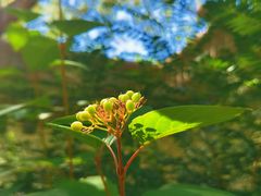 -杜氏旅游度假区