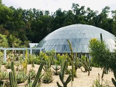 -深圳仙湖植物园