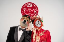 点击看大图 -金夫人婚纱摄影(总店)
