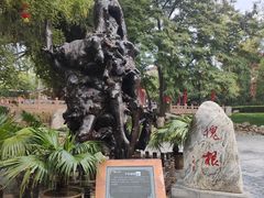 -大槐树寻根祭祖园