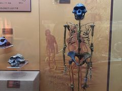 -国家自然博物馆