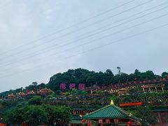 -枇杷园食为鲜火锅(南山店)