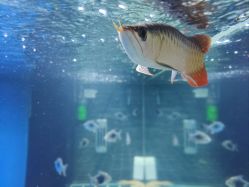 -青木造型HAIR·あおき髪を刈る潮人店