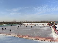 -绿野森林乐园冰雪季