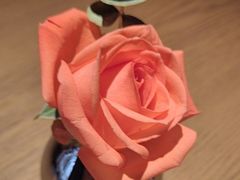 -佐度王子扒房(爱建卓展店)