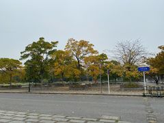 -江南大学(蠡湖校区)