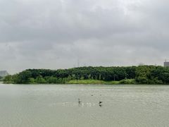 -海珠湖公园