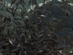-汤乐汇•足道•SPA生活馆