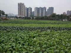 -凤来栖·净庭院·火锅(欧尚店)