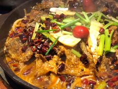 -老板恋上鱼(恒隆广场店)