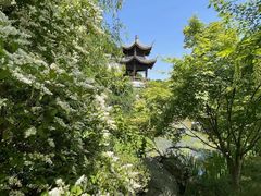 -武汉园博园(武汉自然博物馆)